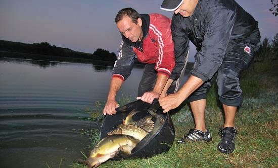 O noua populare la balta Sulimanu